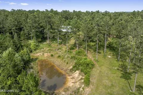 24031 Old River Rd, Vancleave, MS 39565 photo 43