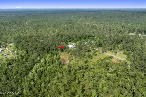 24031 Old River Rd, Vancleave, MS 39565 photo 37