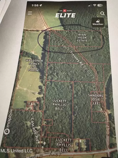 000 Pressley Rd, Carthage, MS 39051 photo 6