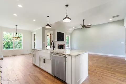Other - 1590 Ashtons Ln, Hernando, MS 38632 photo 2 of 6