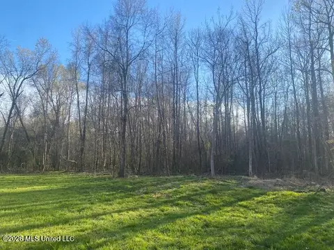 Gaines Road, Hernando, MS 38632 photo 2