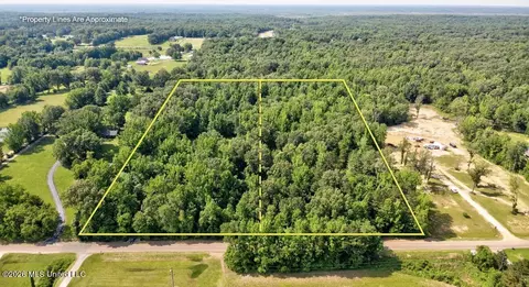Gaines Road, Hernando, MS 38632 photo 5