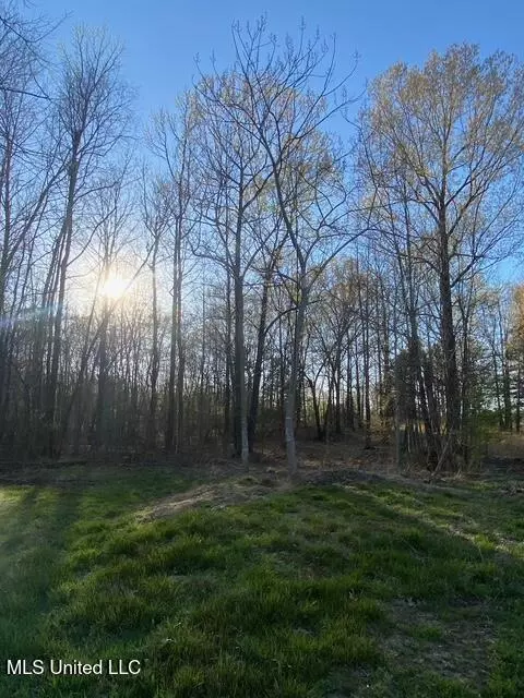 Gaines Road, Hernando, MS 38632