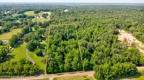 Gaines Road, Hernando, MS 38632 photo 4
