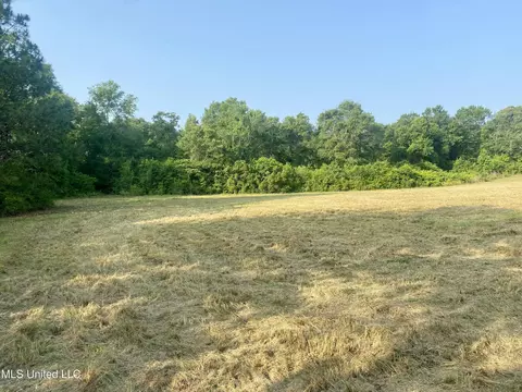Ponderosa Road, Wiggins, MS 39577 photo 10