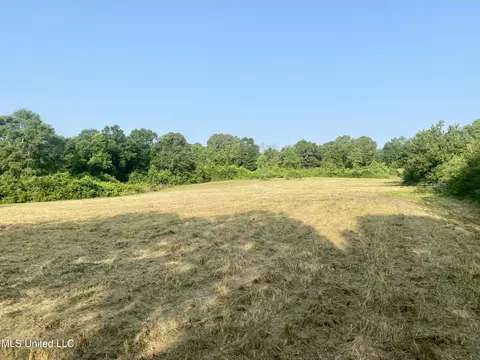 Ponderosa Road, Wiggins, MS 39577 photo 9