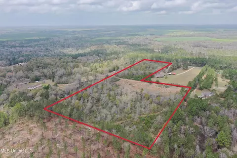 Ponderosa Road, Wiggins, MS 39577 photo 7