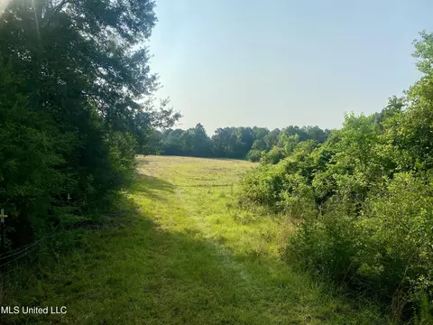 Ponderosa Road, Wiggins, MS 39577 photo 8