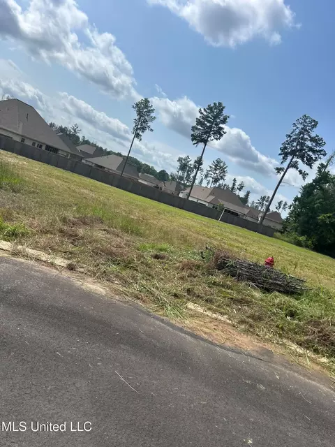669 Bearing Way, Brandon, MS 39047