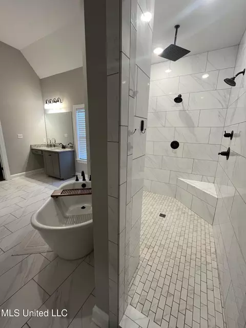 Bath - 8619 Williamson Dr, Olive Branch, MS 38654 photo 5 of 6