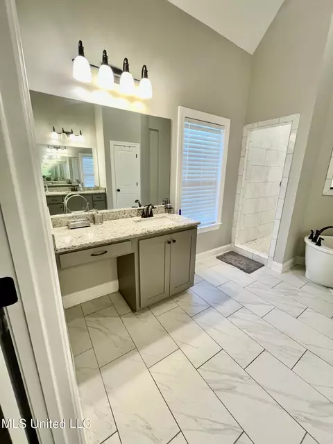 Bath - 8619 Williamson Dr, Olive Branch, MS 38654 photo 3 of 6