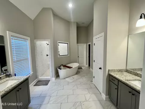 Bath - 8619 Williamson Dr, Olive Branch, MS 38654 photo 2 of 6