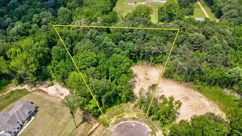 1561 Kimber Cv, Hernando, MS 38632 photo 1