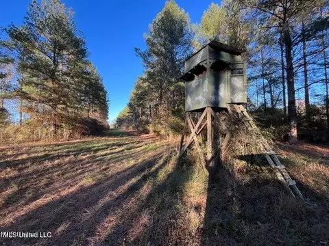 Hwy 11, Heidelberg, MS 39439