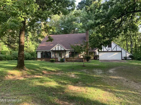 217 Briarhill Cv, Florence, MS 39073