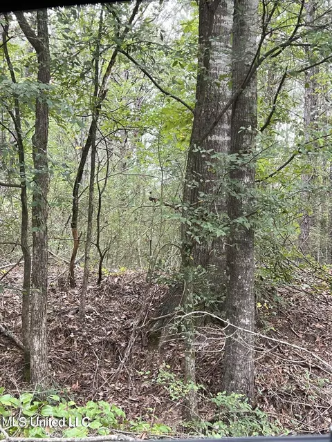 00 Dunn Rd, Terry, MS 39170 photo 2
