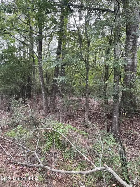 00 Dunn Rd, Terry, MS 39170 photo 3