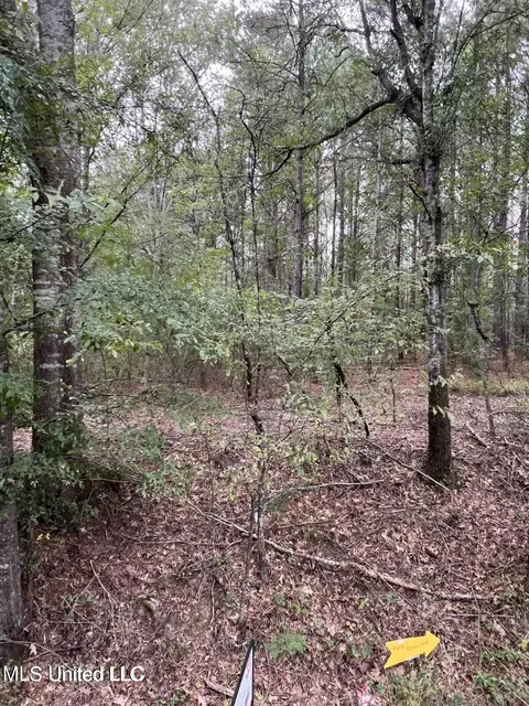 00 Dunn Rd, Terry, MS 39170 photo 4