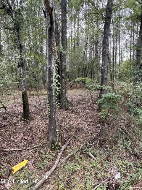 00 Dunn Rd, Terry, MS 39170