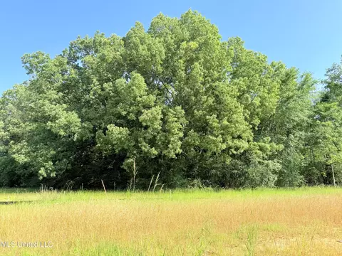 Stout Meadows Lane, Madison, MS 39110 photo 4