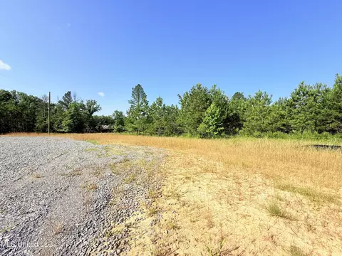 Stout Meadows Lane, Madison, MS 39110 photo 5