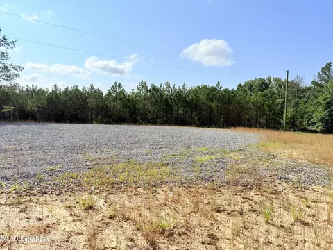 Stout Meadows Lane, Madison, MS 39110 photo 8