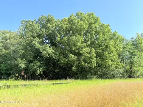 Stout Meadows Lane, Madison, MS 39110 photo 6