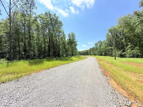 Stout Meadows Lane, Madison, MS 39110 photo 11