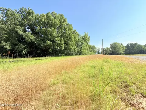 Stout Meadows Lane, Madison, MS 39110 photo 7