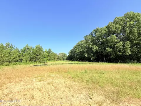 Stout Meadows Lane, Madison, MS 39110