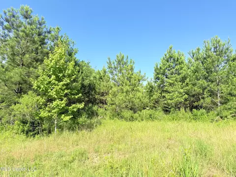 Stout Meadows Lane, Madison, MS 39110 photo 3