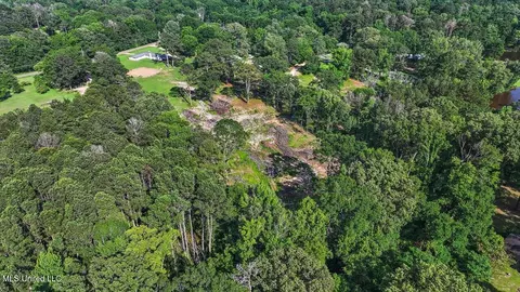 View/Area - 12661 Springridge Rd, Terry, MS 39170 photo 12 of 17