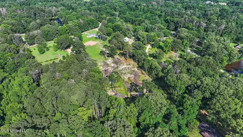 View/Area - 12661 Springridge Rd, Terry, MS 39170 photo 9 of 17