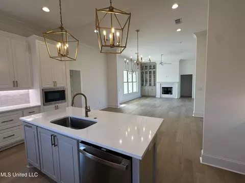468 Aurora Cir, Canton, MS 39046 photo 14