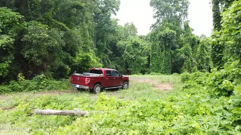 Branan Road, Coldwater, MS 38618 photo 10