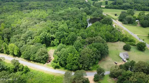 Branan Road, Coldwater, MS 38618 photo 6