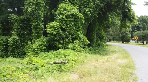 Branan Road, Coldwater, MS 38618 photo 9