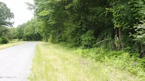 Branan Road, Coldwater, MS 38618 photo 8