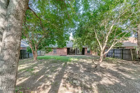 Exterior - 154 Chestnut Dr, Brandon, MS 39047 photo 12 of 13