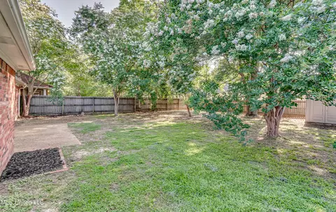 Exterior - 154 Chestnut Dr, Brandon, MS 39047 photo 11 of 13