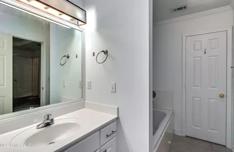 Bath - 154 Chestnut Dr, Brandon, MS 39047 photo 3 of 6