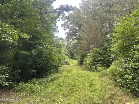 Gessler Rd, Benton, MS 39039 photo 3