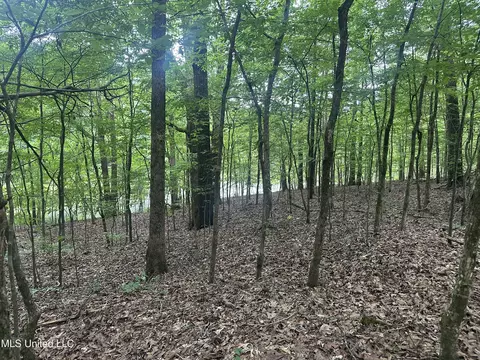 Gessler Rd, Benton, MS 39039 photo 5