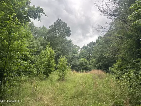 Gessler Rd, Benton, MS 39039 photo 2