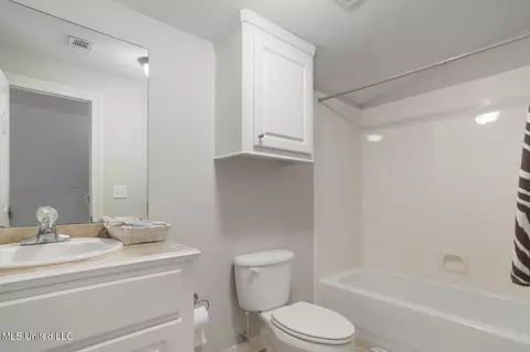 Bath - 420 Ashbourn Ct, Madison, MS 39110 photo 12 of 12