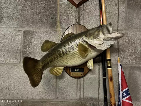 Other - 727 Laney Dr, Clinton, MS 39056 photo 12 of 13
