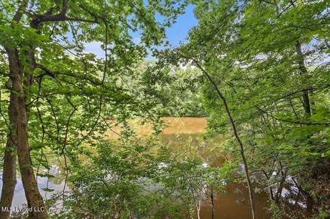 View/Area - 727 Laney Dr, Clinton, MS 39056 photo 1 of 1