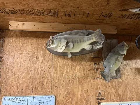 Other - 727 Laney Dr, Clinton, MS 39056 photo 13 of 13