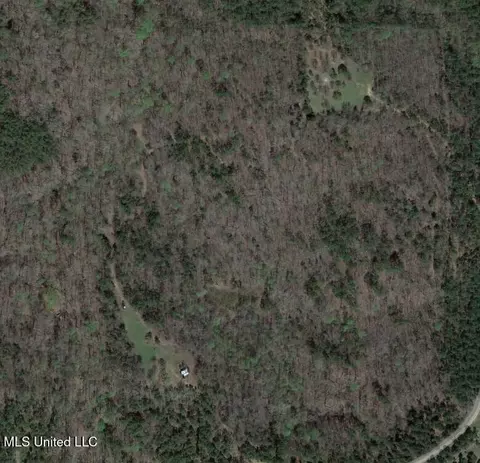 tbd Pepper Town Rd, Eupora, MS 39744 photo 18
