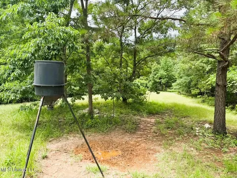 tbd Pepper Town Rd, Eupora, MS 39744 photo 2